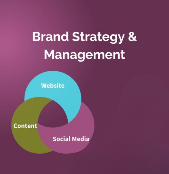 Social Media Marketing Services in Ghaziabad